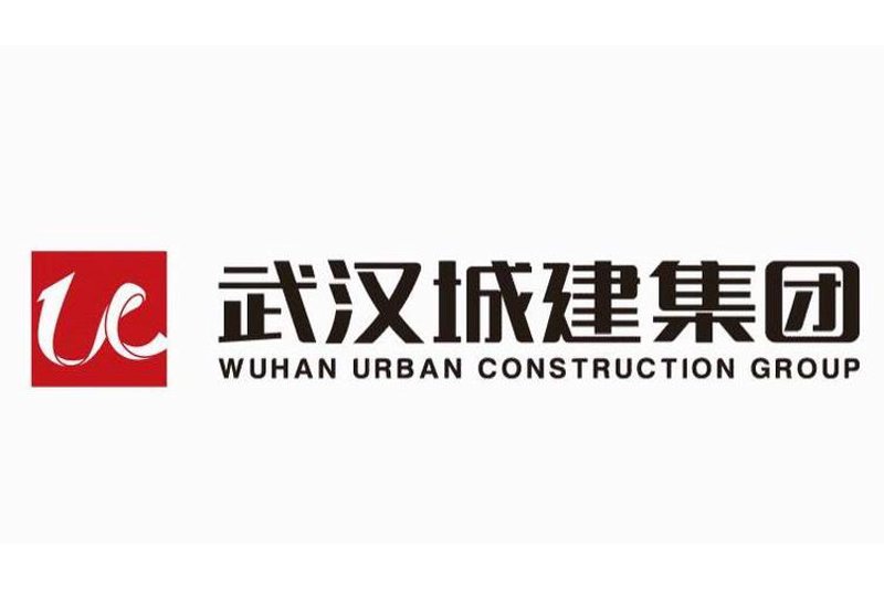 武汉网络公司的崛起：一场数字变革的逆袭